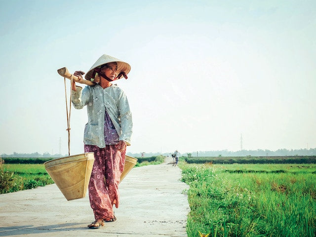 Northern Vietnam Gourmet Getaway: 9-Day Culinary Luxury Experience